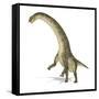 Titanosaurus Dinosaur, Artwork-null-Framed Stretched Canvas