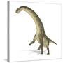 Titanosaurus Dinosaur, Artwork-null-Stretched Canvas