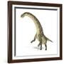 Titanosaurus Dinosaur, Artwork-null-Framed Photographic Print