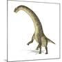 Titanosaurus Dinosaur, Artwork-null-Mounted Photographic Print