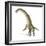 Titanosaurus Dinosaur, Artwork-null-Framed Photographic Print