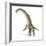 Titanosaurus Dinosaur, Artwork-null-Framed Photographic Print