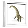 Titanosaurus Dinosaur, Artwork-null-Framed Photographic Print