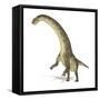 Titanosaurus Dinosaur, Artwork-null-Framed Stretched Canvas
