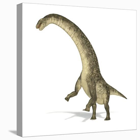 Titanosaurus Dinosaur, Artwork-null-Stretched Canvas