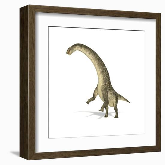 Titanosaurus Dinosaur on White Background-null-Framed Art Print