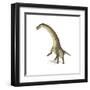 Titanosaurus Dinosaur on White Background-null-Framed Art Print