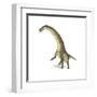 Titanosaurus Dinosaur on White Background-null-Framed Art Print