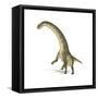 Titanosaurus Dinosaur on White Background-null-Framed Stretched Canvas