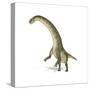 Titanosaurus Dinosaur on White Background-null-Stretched Canvas