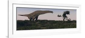 Titanosaurus Standing Grazing in Swamp Grassland-Stocktrek Images-Framed Art Print