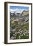 Titcomb Basin wildflowers composed of purple Asters, Bridger Wilderness, Wind River Range, Wyoming.-Alan Majchrowicz-Framed Photographic Print