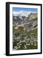 Titcomb Basin wildflowers composed of purple Asters, Bridger Wilderness, Wind River Range, Wyoming.-Alan Majchrowicz-Framed Photographic Print