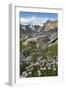 Titcomb Basin wildflowers composed of purple Asters, Bridger Wilderness, Wind River Range, Wyoming.-Alan Majchrowicz-Framed Photographic Print