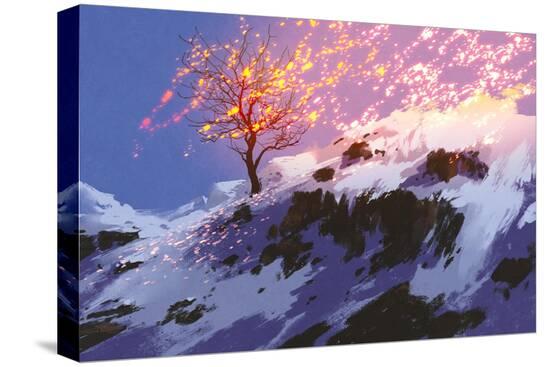 Stretched Canvas Print, , large