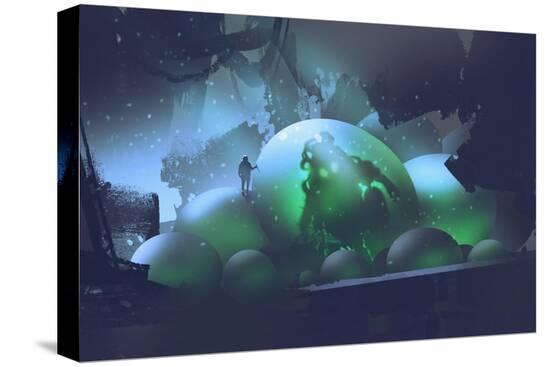 Stretched Canvas Print, , large