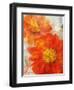 Tithonia Bloom 1-Ken Roko-Framed Art Print