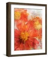 Tithonia Bloom 2-Ken Roko-Framed Art Print