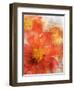 Tithonia Bloom 2-Ken Roko-Framed Art Print