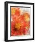 Tithonia Bloom 2-Ken Roko-Framed Art Print