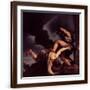 Brown Frame