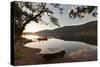 Titisee Lake at sunrise, Black Forest, Baden-Wurttemberg, Germany, Europe-Markus Lange-Stretched Canvas