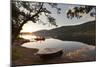 Titisee Lake at sunrise, Black Forest, Baden-Wurttemberg, Germany, Europe-Markus Lange-Mounted Photographic Print