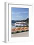 Titisee, Titisee Neustadt, Black Forest, Baden-Wurttemberg, Germany-Markus Lange-Framed Photographic Print