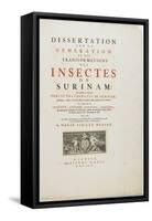 Title Page from Metamorphosis Insectorum Surinamensium, 1726-Maria Sibylla Graff Merian-Framed Stretched Canvas