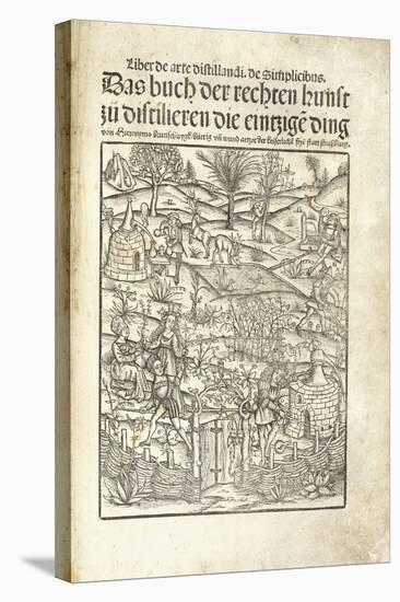 Title Page, Illustrating Herbal Distilleries with Figures in a Landscape, 1500-Hieronymus Brunschwig-Stretched Canvas