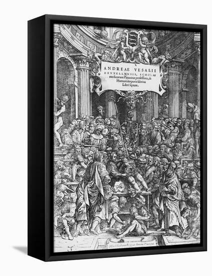 Title Page of De Humani Corporis Fabrica (Latin for on Fabric of Human Body)-Andreas Vesalius-Framed Stretched Canvas