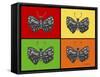 Titled Butterflies-Sartoris ART-Framed Stretched Canvas