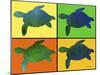 Titled Turtles-Sartoris ART-Mounted Giclee Print