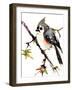 Titmouse 3-Suren Nersisyan-Framed Art Print