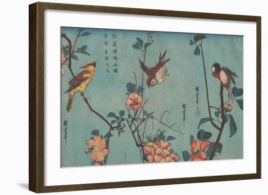 Titmouse and Camellias, Sparrow and Wild Roses and Black-naped Oriole and Cherry Blossoms, c.1833-Ando or Utagawa Hiroshige-Framed Giclee Print