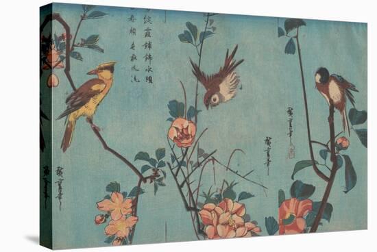 Titmouse and Camellias, Sparrow and Wild Roses and Black-naped Oriole and Cherry Blossoms, c.1833-Ando or Utagawa Hiroshige-Stretched Canvas
