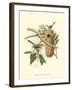 Titmouse & Nest-null-Framed Art Print