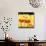 Tito Puente, Hot Timbales-null-Stretched Canvas displayed on a wall