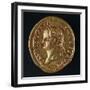 Titus Aureus Bearing Image of Emperor, Recto, Roman Coins AD-null-Framed Giclee Print