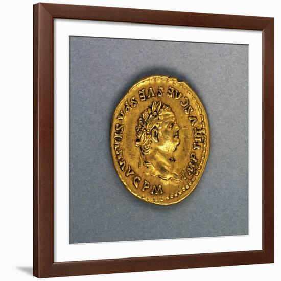 Titus Aureus, Minted by Mint of Rome, AD 80, Recto, Roman Coins AD-null-Framed Giclee Print