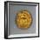 Titus Aureus, Minted by Mint of Rome, AD 80, Verso, Roman Coins AD-null-Framed Giclee Print