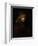 Titus, Rembrandt's Son-Rembrandt van Rijn-Framed Giclee Print