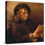 Titus, the Artist's Son, Reading, about 1656/57-Rembrandt van Rijn-Stretched Canvas