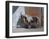 Tiverton, 1997-Caroline Hervey-Bathurst-Framed Giclee Print