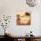 Tivoli Pond-Judy Mastrangelo-Mounted Giclee Print displayed on a wall