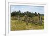 Tiya, an archaeological site of carved stelae, Ethiopia-Keren Su-Framed Photographic Print