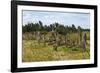 Tiya, an archaeological site of carved stelae, Ethiopia-Keren Su-Framed Photographic Print