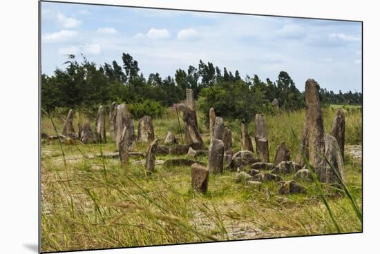 Tiya, an archaeological site of carved stelae, Ethiopia-Keren Su-Mounted Photographic Print