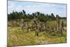 Tiya, an archaeological site of carved stelae, Ethiopia-Keren Su-Mounted Photographic Print