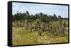 Tiya, an archaeological site of carved stelae, Ethiopia-Keren Su-Framed Stretched Canvas